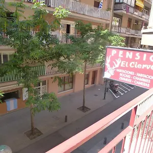 El Ciervo Maison d'hôtes
